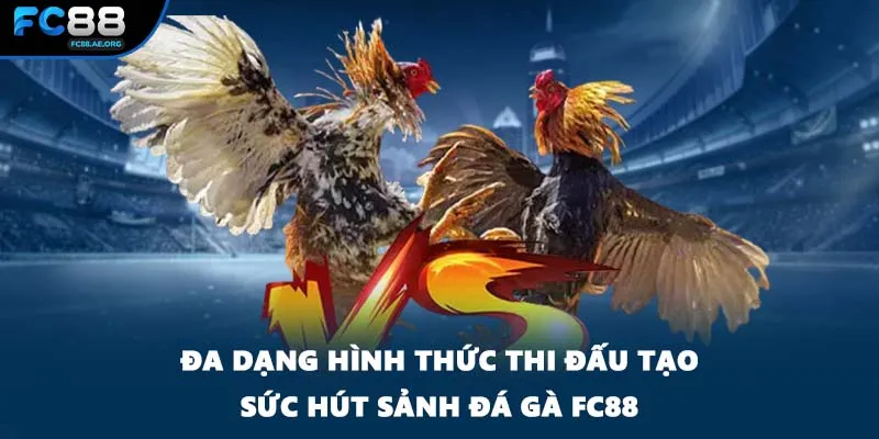 Đa dạng hình thức thi đấu tạo sức hút sảnh đá gà FC88