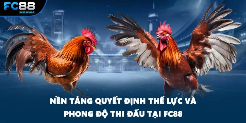 Nền tảng quyết định thể lực và phong độ thi đấu tại FC88