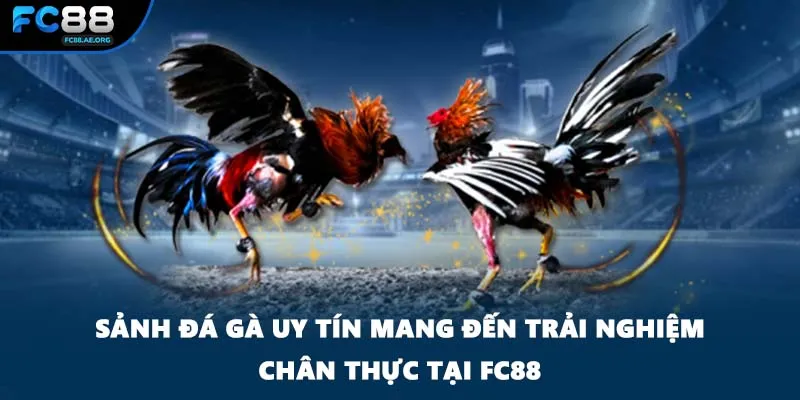Sảnh Đá Gà Uy Tín Mang Đến Trải Nghiệm Chân Thực Tại FC88